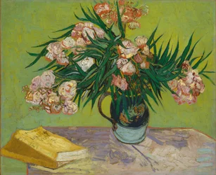 Oleander