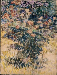 Oleander, der Krankenhausgarten in Saint-Rémy, 1889