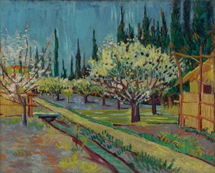 Obstgarten von Zypressen gesäumt