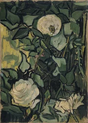 Rosen, 1890