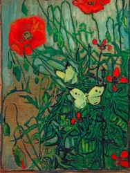 Schmetterlinge auf Mohnblüten