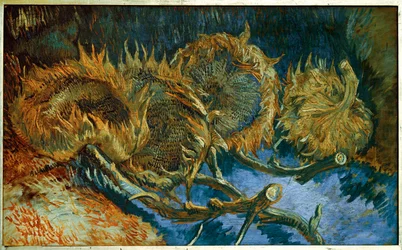 Sonnenblumen