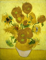 Sonnenblumen