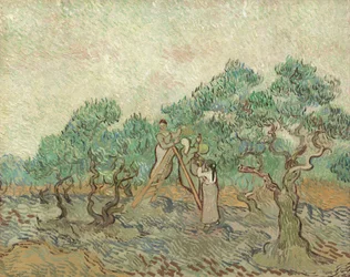 Der Olivenhain, 1889