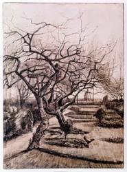 Der Pfarrgarten in Nuenen im Winter (1884)