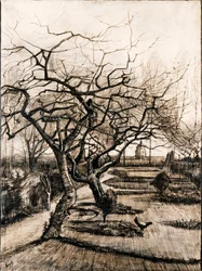 Der Pfarrgarten in Nuenen im Winter