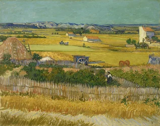 Die Ernte