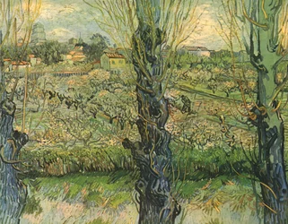 Ansicht von Arles, 1889, 1947