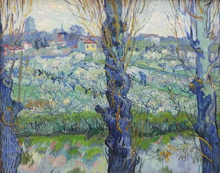 Blick auf Arles, blühende Obstgärten