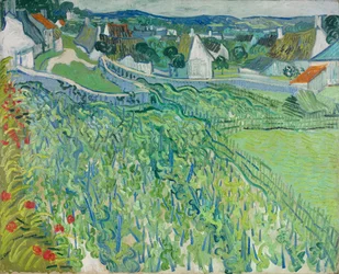 Weinberge in Auvers, Juni 1890