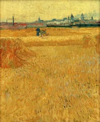 Weizenfeld mit Blick auf Arles