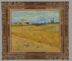 Weizenfeld