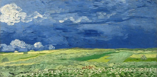 Weizenfeld unter Gewitterwolken