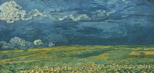Weizenfelder unter Gewitterwolken