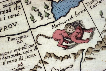 Darstellung eines Mantikors, einer fantastischen Kreatur mit einem menschlichen Kopf (oft mit Hörnern, blauen Augen und drei Zahnreihen), einem Skorpion- oder Drachenschwanz und einem Löwenkörper. Detail einer Weltkarte von Vincenzo Coronelli (1650-1718). 