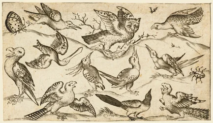 Elf Vögel und zwei Insekten auf minimalem Grund mit Eule mit ausgebreiteten Flügeln