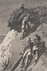 Überfall auf eine Sandschwalbenkolonie - Wie viele Eier