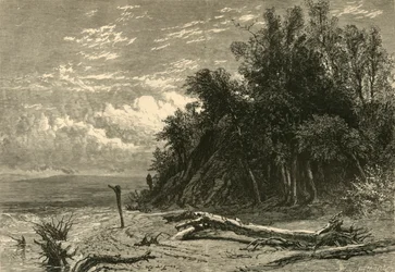 Das Ufer am Lake Forest, 1874
