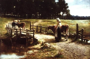 Heimkehr