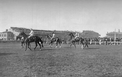 St. Leger Pferde vor der Doncaster-Tribüne, um 1901, 1903