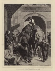 Ein enger Weg, Kairo