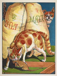Eine Katze tötet eine Ratte