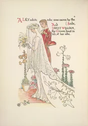 Die Braut und der Bräutigam. Ein lilienweißes Gewand, getragen von der Braut, und Sweet William, der Bräutigam, in Rot gekleidet