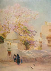 Der Jacaranda, um 1905, 1912