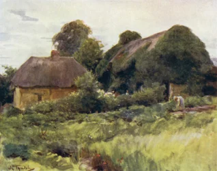 Der New Forest: Ein Cottage in Sway