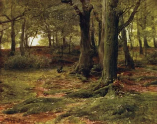 Der New Forest: Die Hill Woods, Lyndhurst