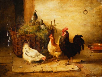 Geflügel und Tauben in einem Innenraum