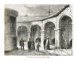 Die Menagerie des Turms, 1878