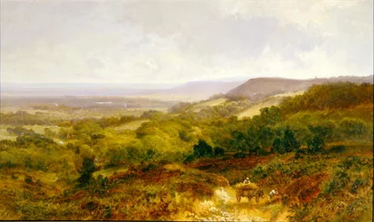 Die Weald von Surrey
