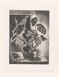Philodendron im Fensterrahmen