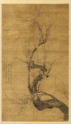 Ein Prunus im Mondlicht