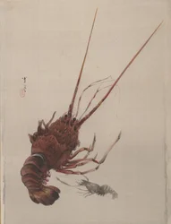 Krebs, ca. 1887