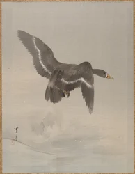 Fliegende Gans, ca. 1887