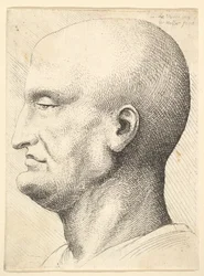 Kopf eines kahlen Mannes im Profil nach links, 1644-52