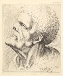 Kopf eines Mannes mit vorstehendem Kinn und Stupsnase, der nach oben links schaut, 1625-77