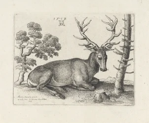 Liegender Hirsch, nach rechts