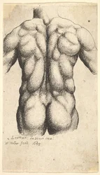 Nackter männlicher Torso von hinten gesehen, 1645