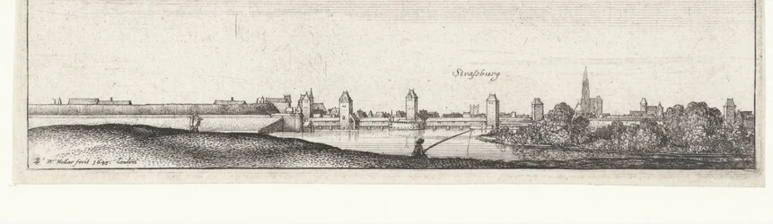 Flusslandschaft mit Blick auf Straßburg