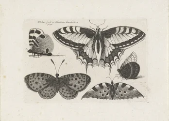 Fünf Schmetterlinge, Insekten (Serientitel)