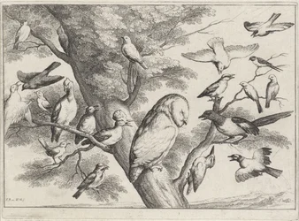 Vögel in einem Baum