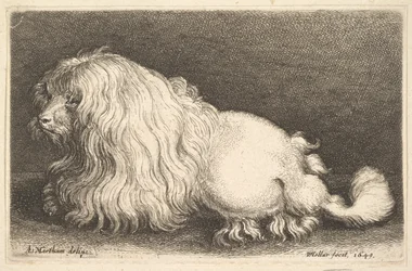 Weißer Hund