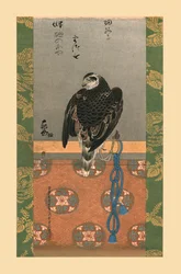 Falke, ca. 1790, 1886