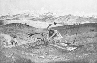 Prähistorie: Rentierjagd in einer Moränenlandschaft von Schwaben höher als die letzte Eiszeit; gemalt von W. Kranz nach einer Skizze von Professor Klaatsh.