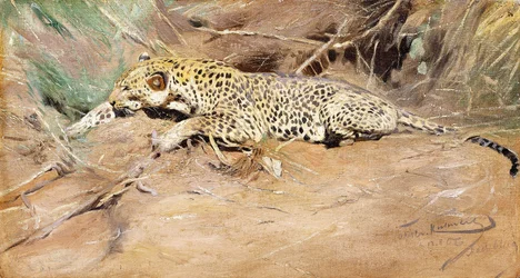 Ein Leopard
