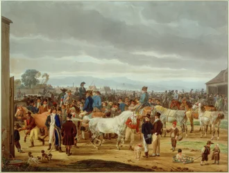 Pferdemarkt