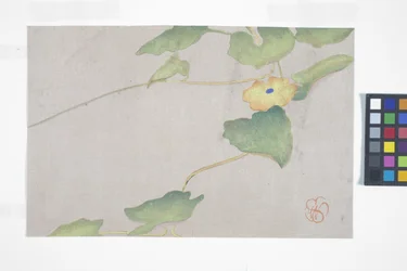 Blumenstudie, ca. 1908
